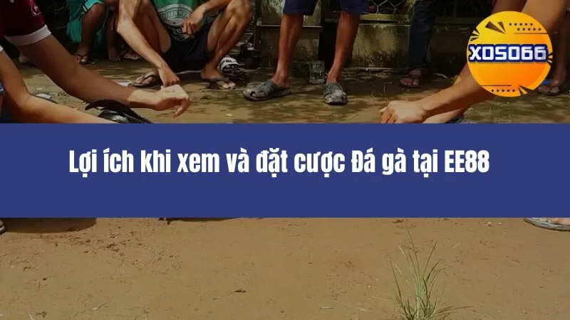 Đá Gà EE88