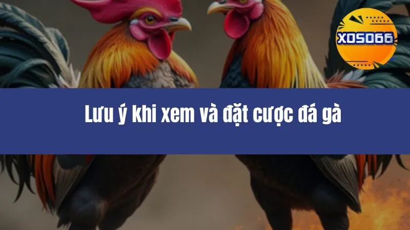 Đá Gà EE88
